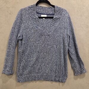 Fashion Bug V Neck Sweater Womens Size XL Casual Comfy Cozy Warm Academia Preppy